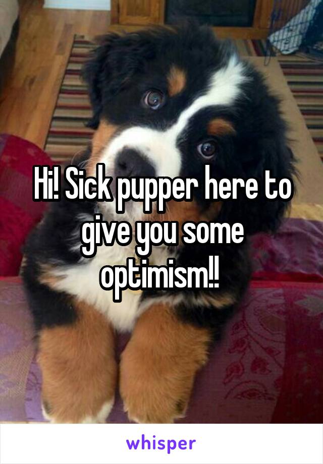 Hi! Sick pupper here to give you some optimism!! 