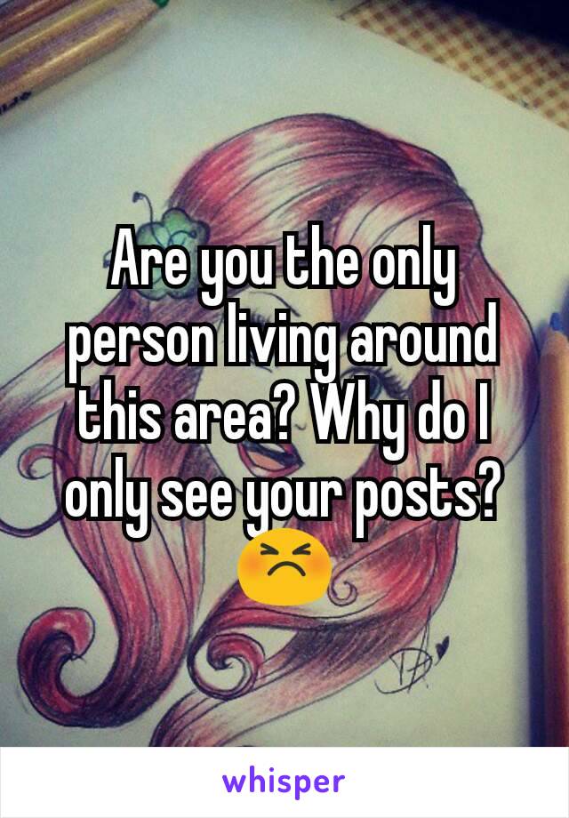 Are you the only person living around this area? Why do I only see your posts? 😣