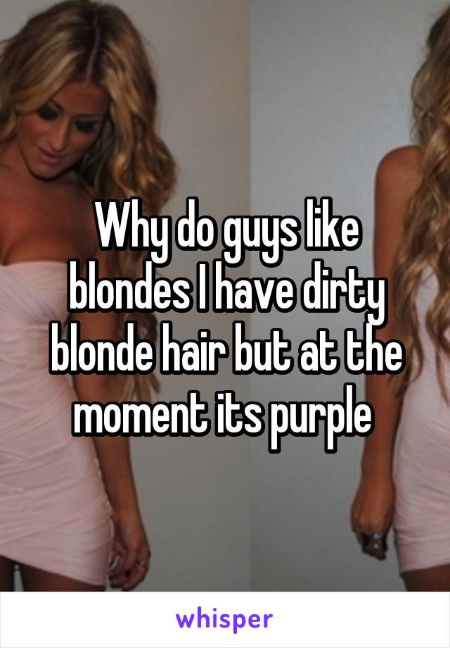 Why do guys like blondes I have dirty blonde hair but at the moment its purple 