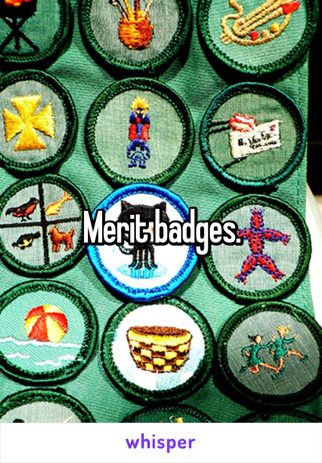 Merit badges.