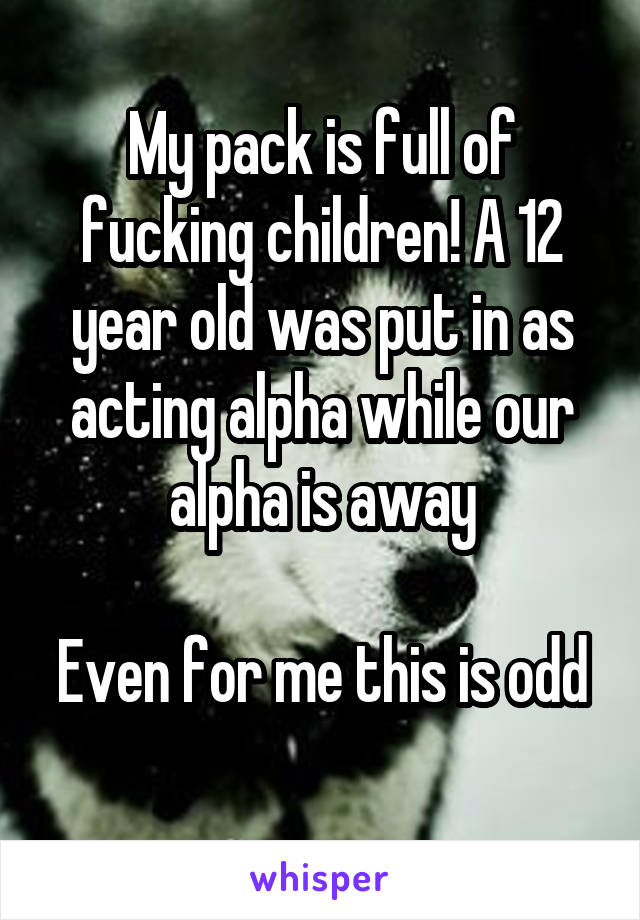 My pack is full of fucking children! A 12 year old was put in as acting alpha while our alpha is away

Even for me this is odd 