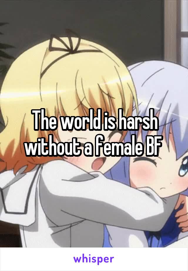 The world is harsh without a female BF 