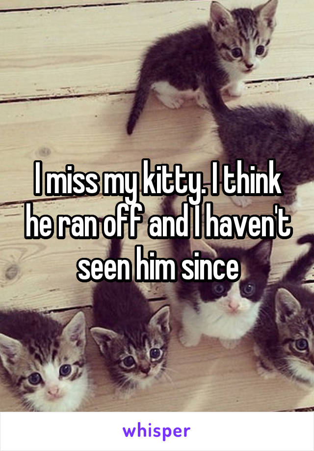 I miss my kitty. I think he ran off and I haven't seen him since