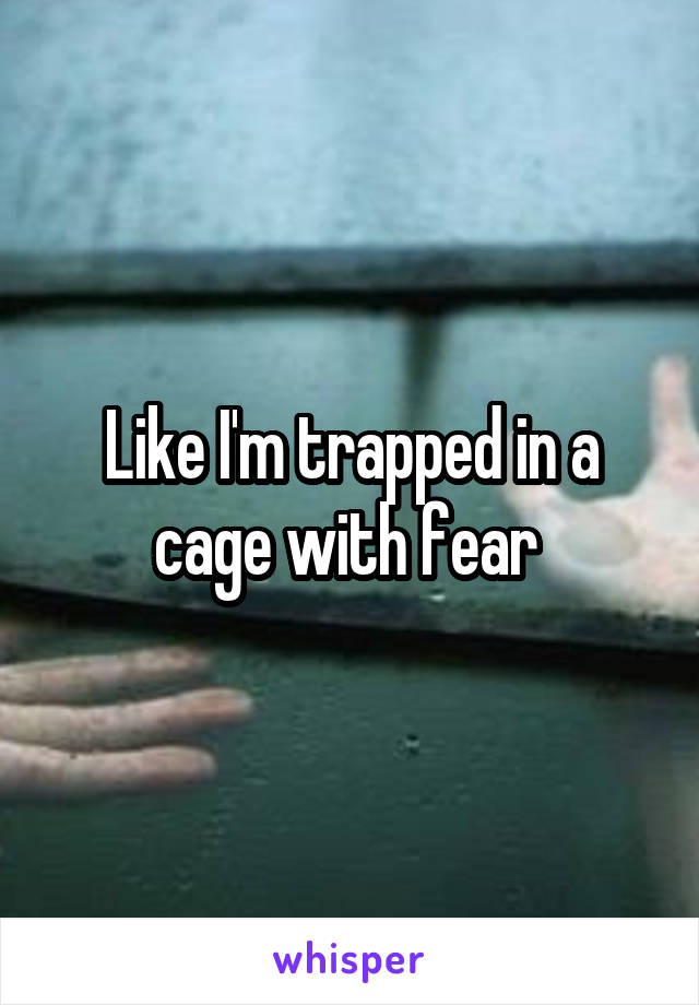 Like I'm trapped in a cage with fear 