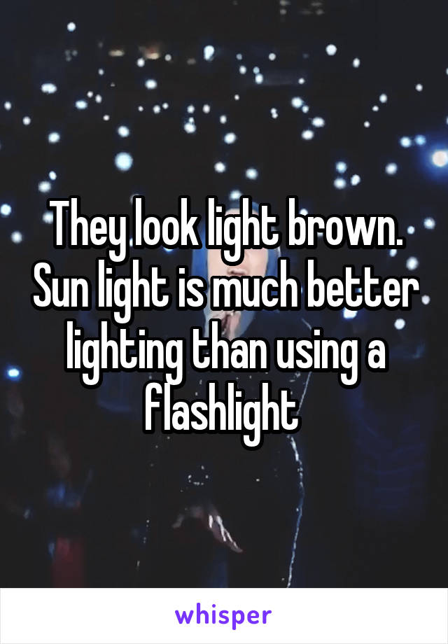 They look light brown. Sun light is much better lighting than using a flashlight 