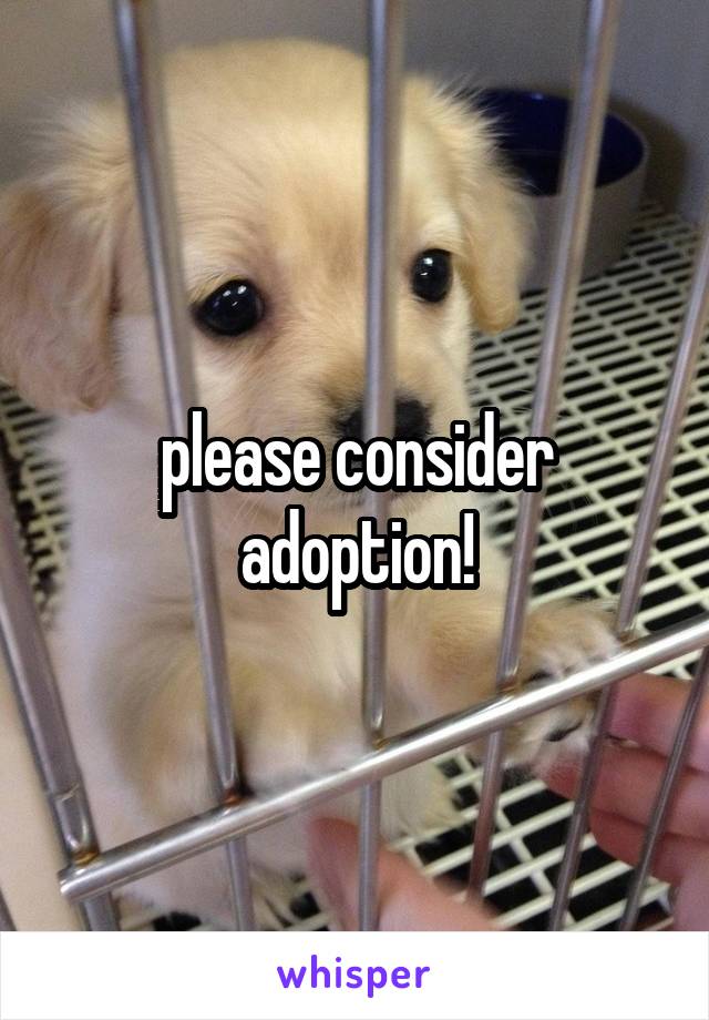 please consider adoption!