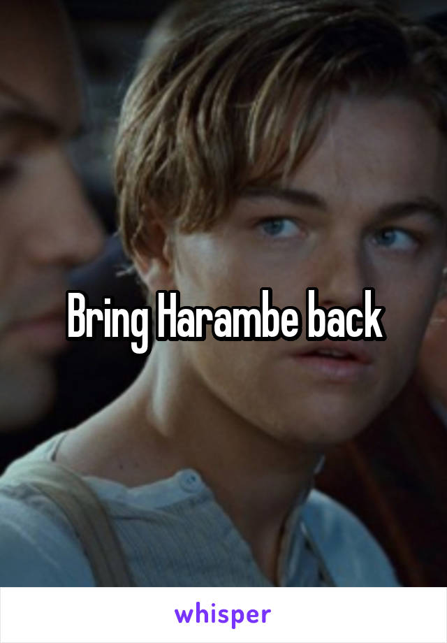 Bring Harambe back