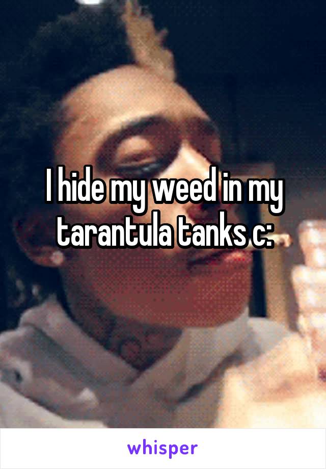 I hide my weed in my tarantula tanks c:
