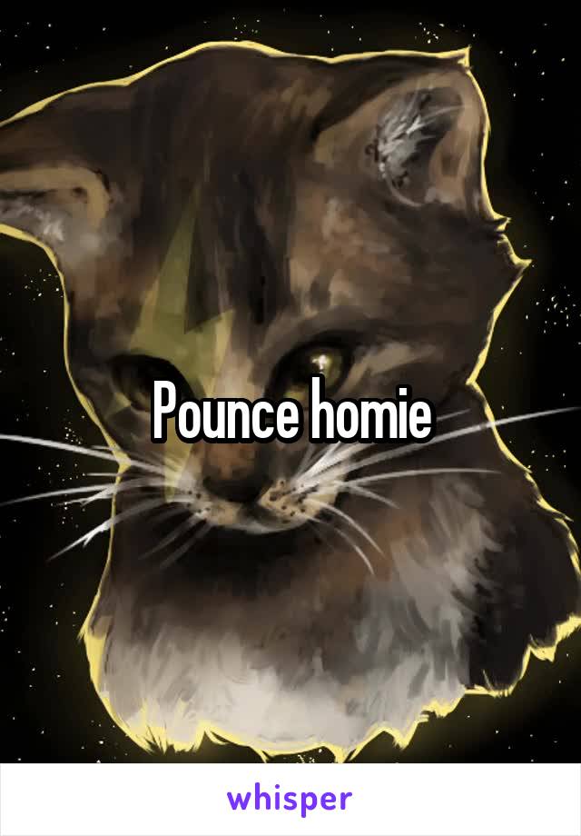 Pounce homie