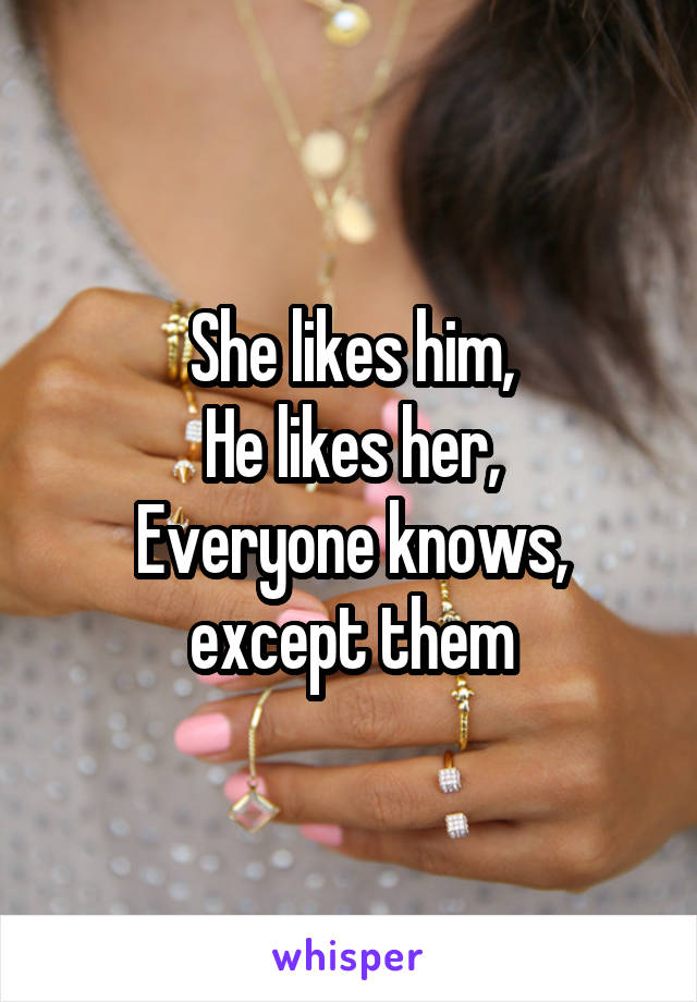 She likes him,
He likes her,
Everyone knows, except them