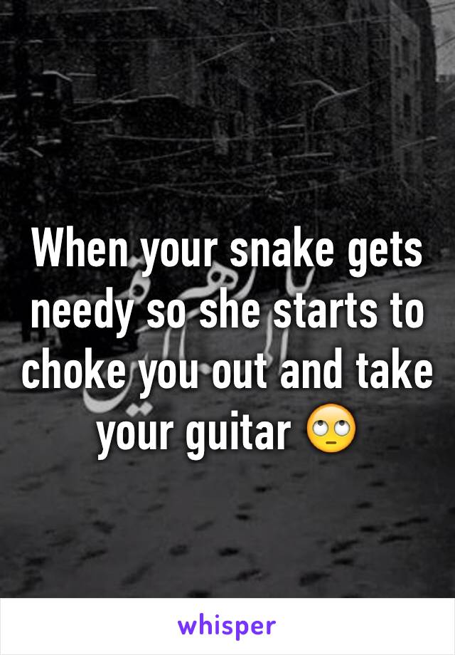 When your snake gets needy so she starts to choke you out and take your guitar 🙄