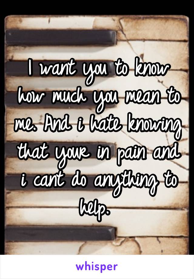 I want you to know how much you mean to me. And i hate knowing that your in pain and i cant do anything to help. 