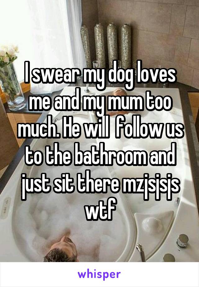 I swear my dog loves me and my mum too much. He will  follow us to the bathroom and just sit there mzjsjsjs wtf