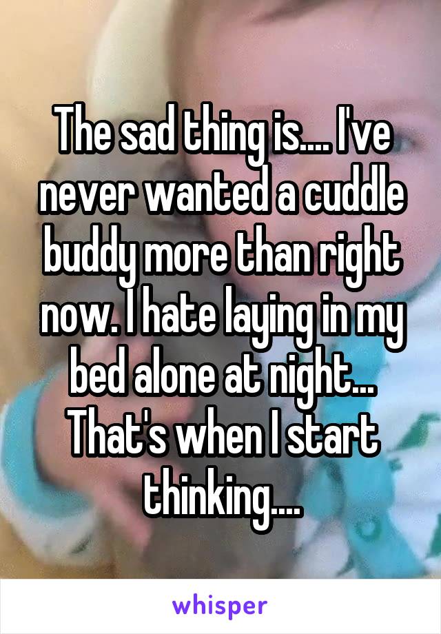 The sad thing is.... I've never wanted a cuddle buddy more than right now. I hate laying in my bed alone at night... That's when I start thinking....