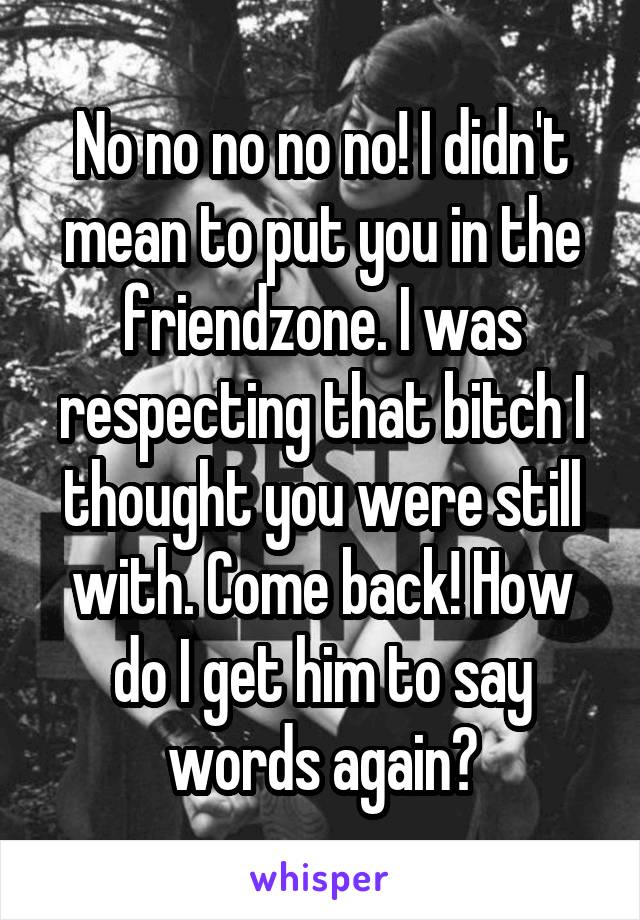 No no no no no! I didn't mean to put you in the friendzone. I was respecting that bitch I thought you were still with. Come back! How do I get him to say words again?