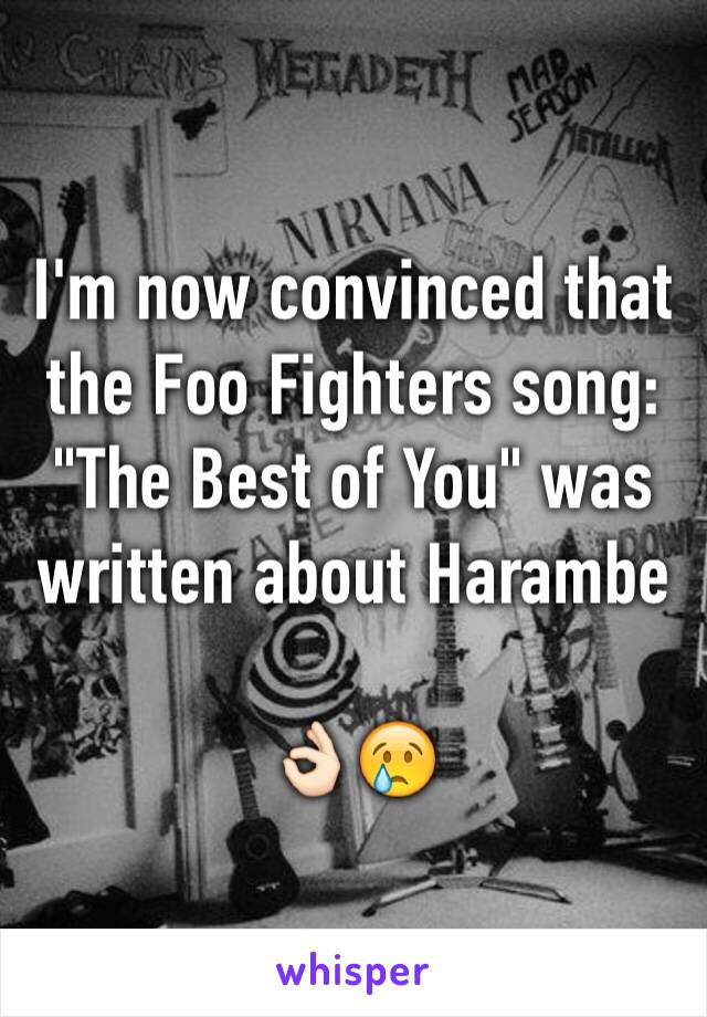 I'm now convinced that the Foo Fighters song: "The Best of You" was written about Harambe

👌🏻😢