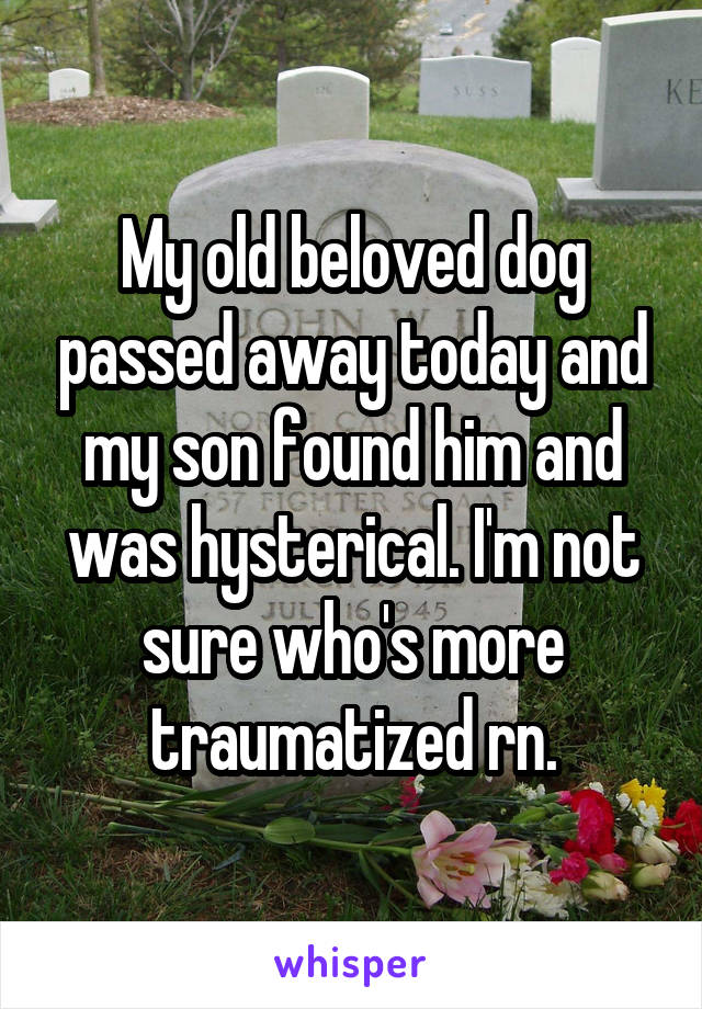 My old beloved dog passed away today and my son found him and was hysterical. I'm not sure who's more traumatized rn.