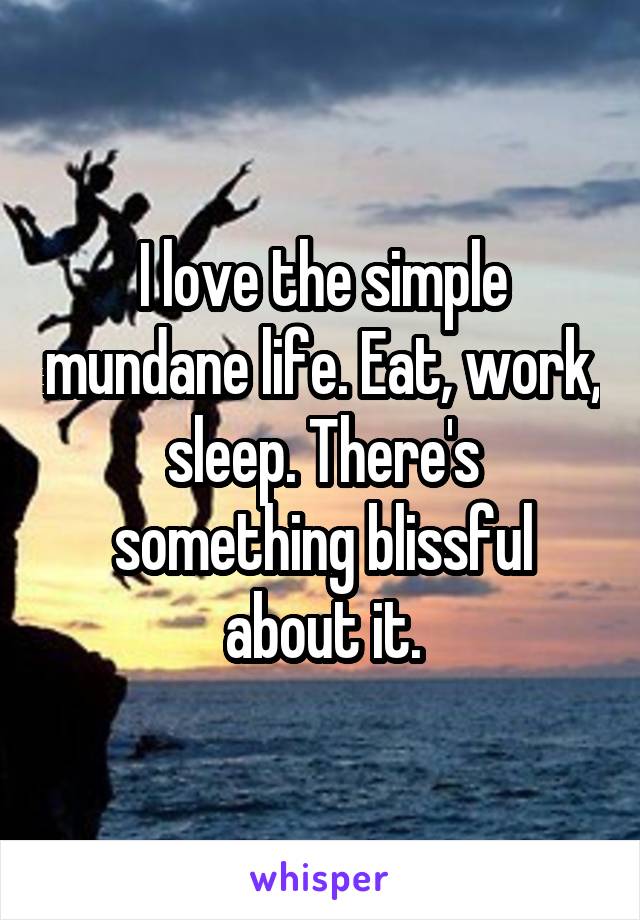 I love the simple mundane life. Eat, work, sleep. There's something blissful about it.