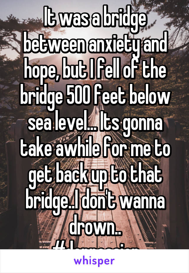 It was a bridge between anxiety and hope, but I fell of the bridge 500 feet below sea level... Its gonna take awhile for me to get back up to that bridge..I don't wanna drown..
#depression