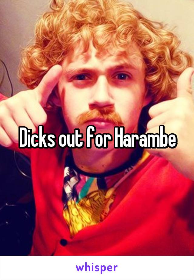 Dicks out for Harambe