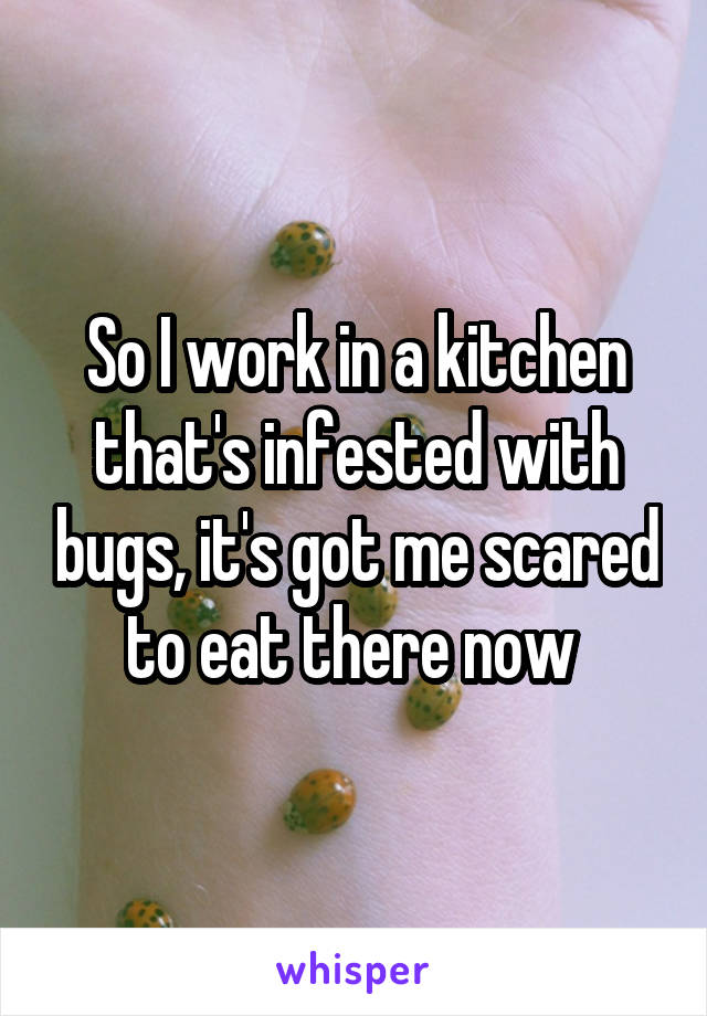 So I work in a kitchen that's infested with bugs, it's got me scared to eat there now 
