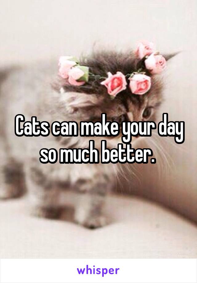 Cats can make your day so much better. 