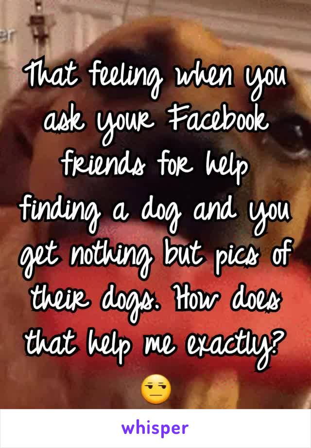 That feeling when you ask your Facebook friends for help finding a dog and you get nothing but pics of their dogs. How does that help me exactly? 😒