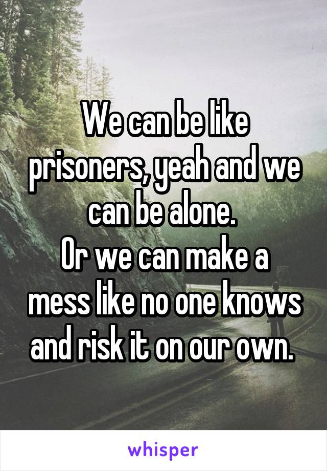 We can be like prisoners, yeah and we can be alone. 
Or we can make a mess like no one knows and risk it on our own. 