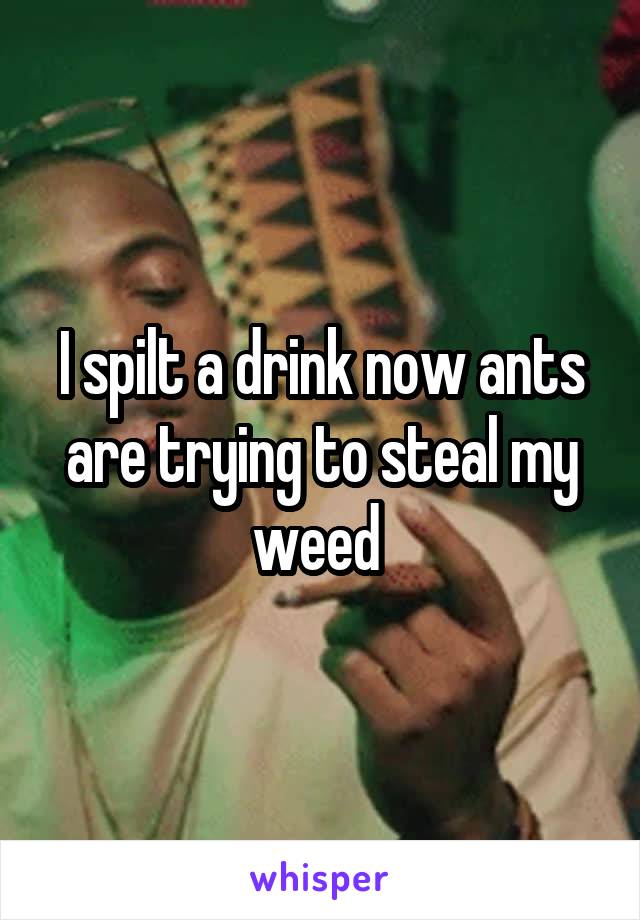 I spilt a drink now ants are trying to steal my weed 