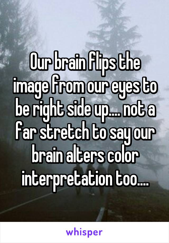 Our brain flips the image from our eyes to be right side up.... not a far stretch to say our brain alters color interpretation too....