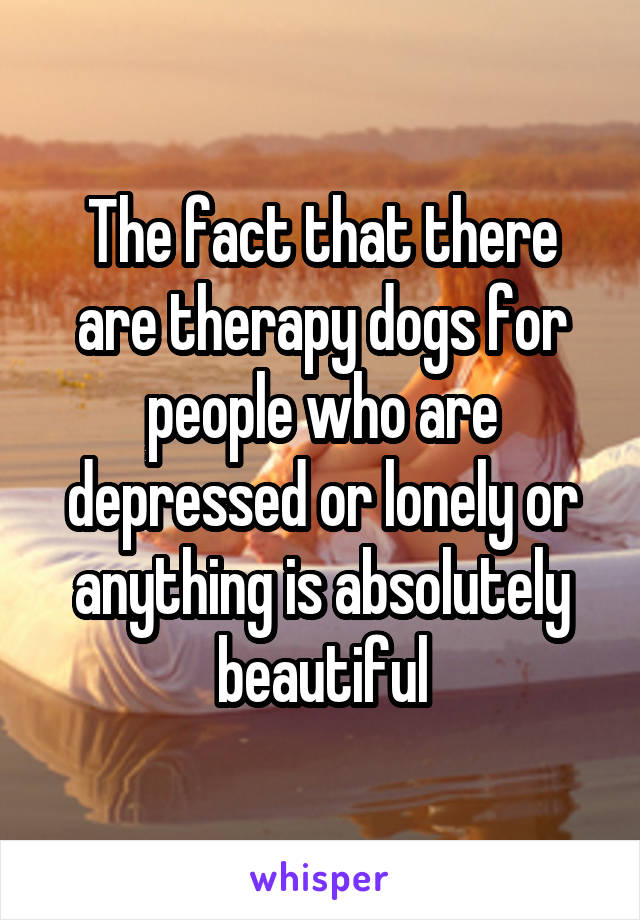 The fact that there are therapy dogs for people who are depressed or lonely or anything is absolutely beautiful