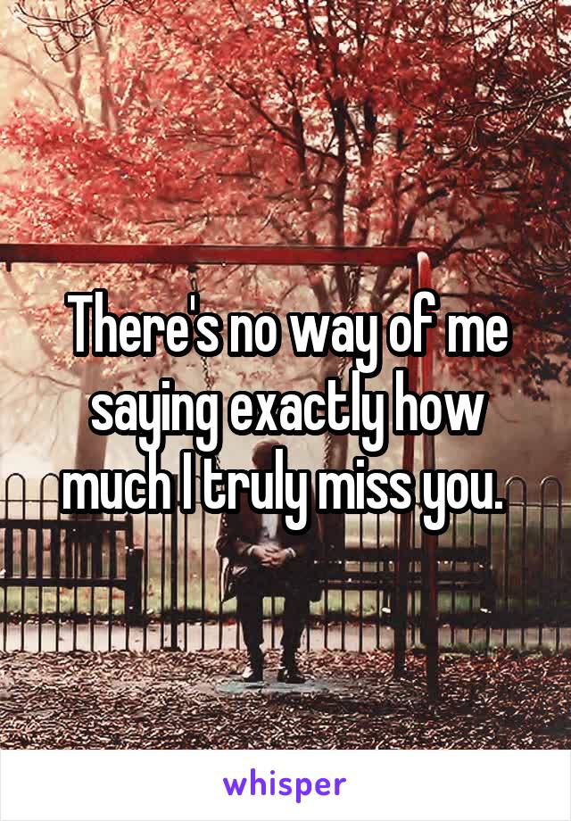 There's no way of me saying exactly how much I truly miss you. 