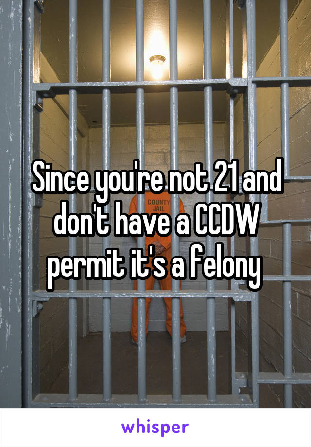 Since you're not 21 and don't have a CCDW permit it's a felony 