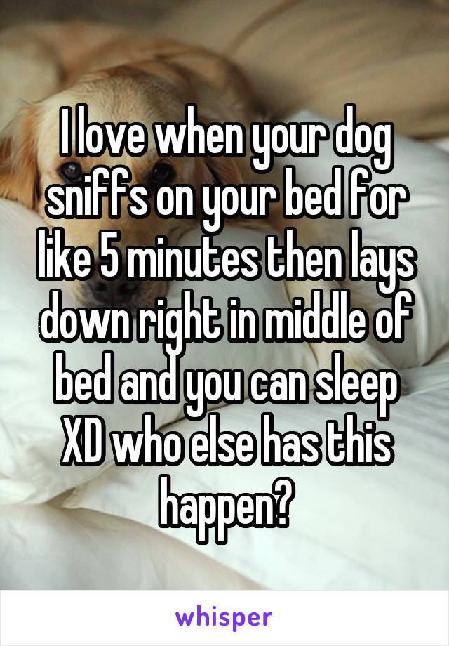 I love when your dog sniffs on your bed for like 5 minutes then lays down right in middle of bed and you can sleep XD who else has this happen?