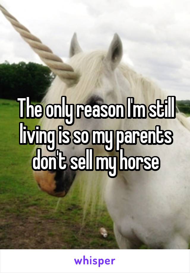 The only reason I'm still living is so my parents don't sell my horse