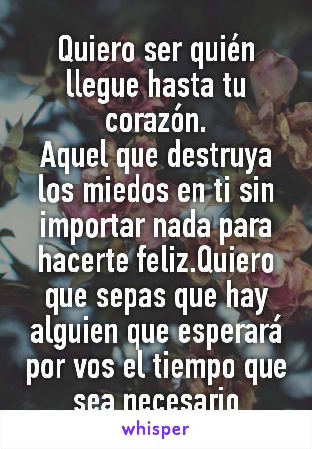 Quiero ser quién llegue hasta tu corazón.
Aquel que destruya los miedos en ti sin importar nada para hacerte feliz.Quiero que sepas que hay alguien que esperará por vos el tiempo que sea necesario