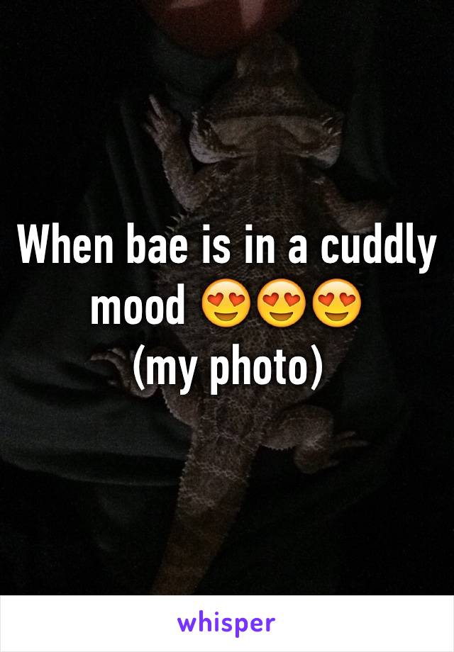 When bae is in a cuddly mood 😍😍😍
(my photo)