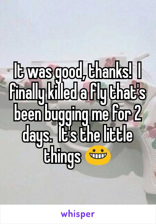 It was good, thanks!  I finally killed a fly that's been bugging me for 2 days.  It's the little things 😀