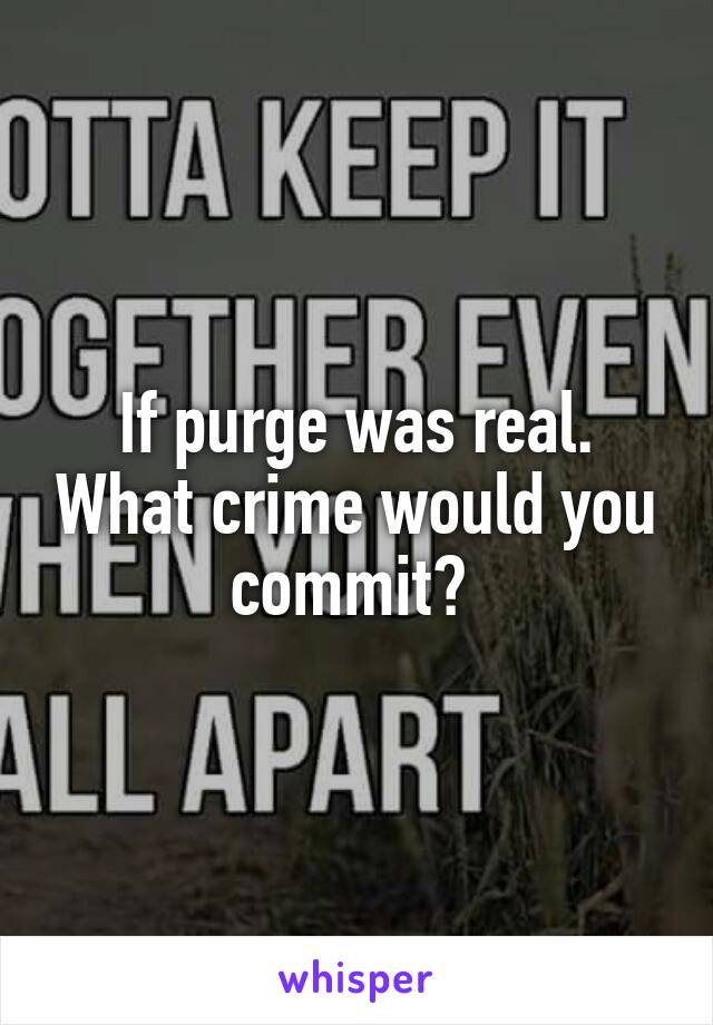 If purge was real. What crime would you commit? 