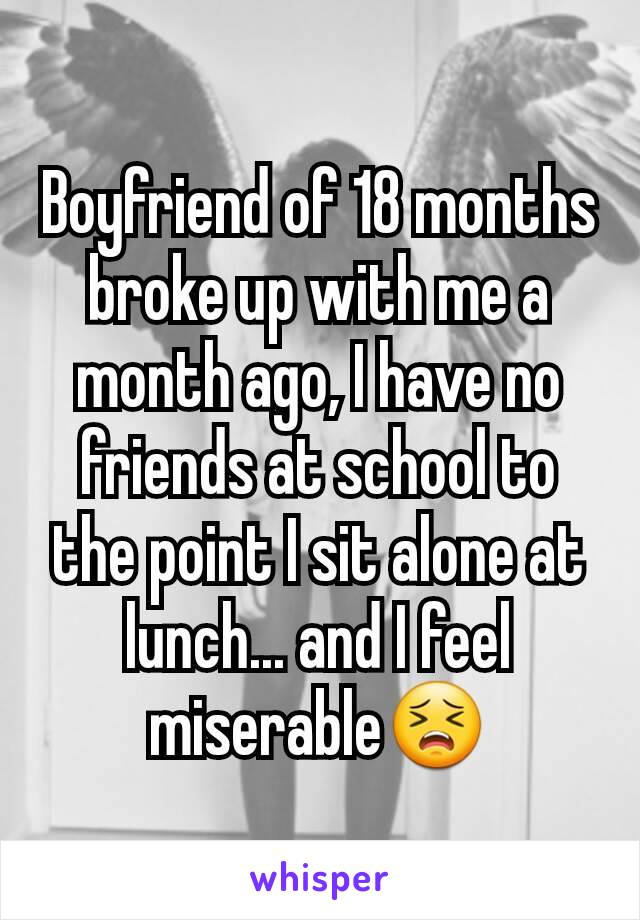 Boyfriend of 18 months broke up with me a month ago, I have no friends at school to the point I sit alone at lunch... and I feel miserable😣