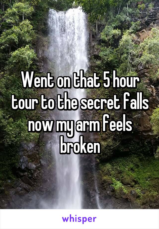 Went on that 5 hour tour to the secret falls now my arm feels broken