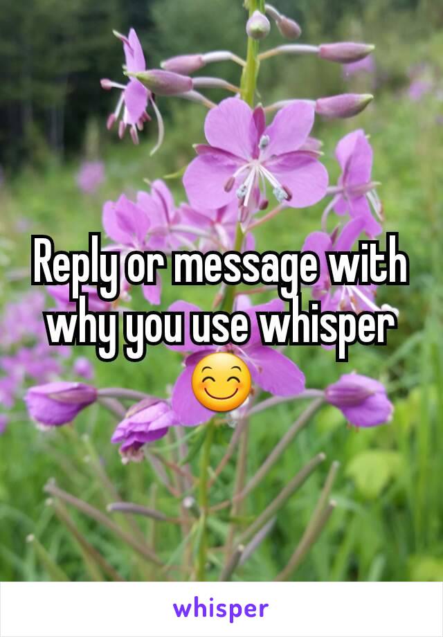 Reply or message with why you use whisper😊