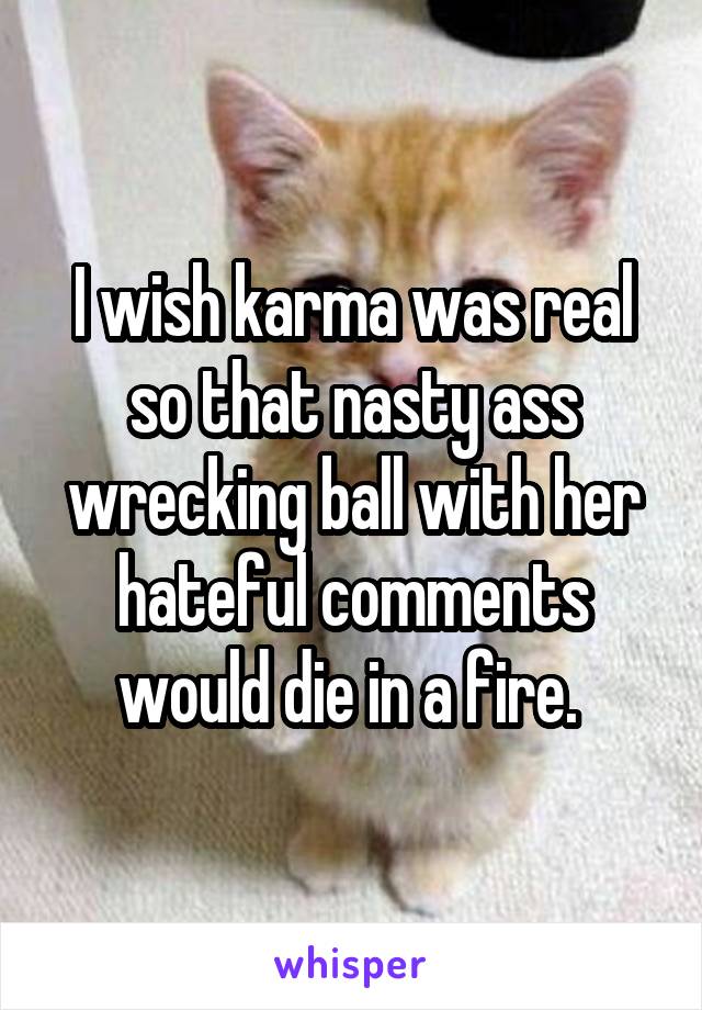 I wish karma was real so that nasty ass wrecking ball with her hateful comments would die in a fire. 