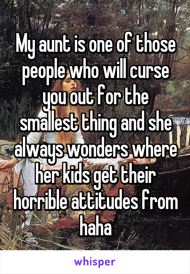 My aunt is one of those people who will curse you out for the smallest thing and she always wonders where her kids get their horrible attitudes from haha