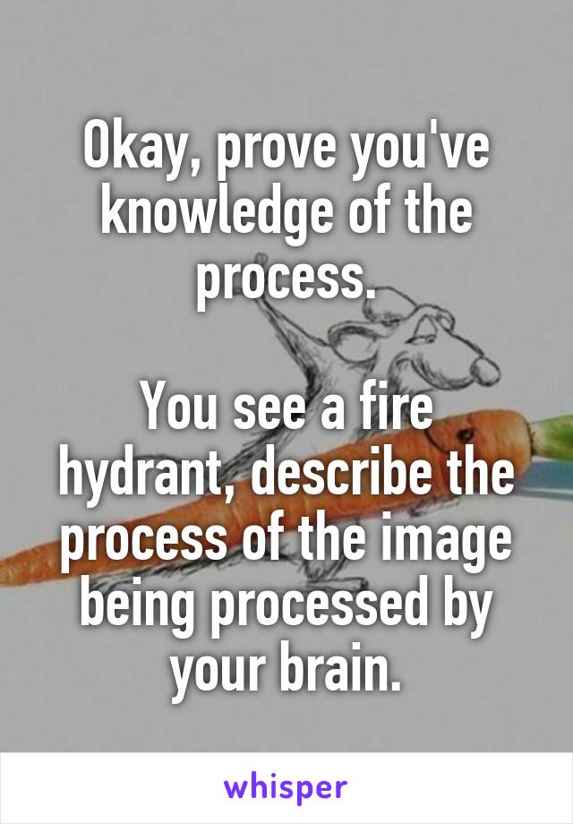 Okay, prove you've knowledge of the process.

You see a fire hydrant, describe the process of the image being processed by your brain.