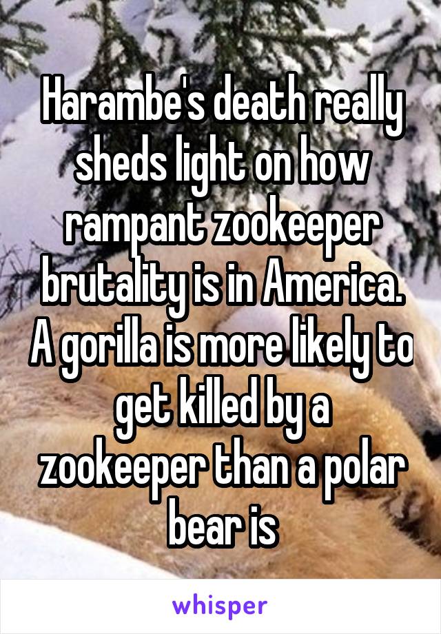 Harambe's death really sheds light on how rampant zookeeper brutality is in America. A gorilla is more likely to get killed by a zookeeper than a polar bear is