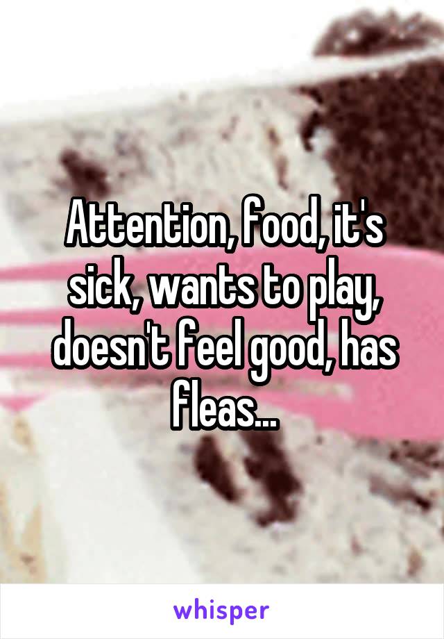 Attention, food, it's sick, wants to play, doesn't feel good, has fleas...