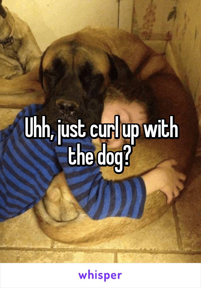 Uhh, just curl up with the dog? 