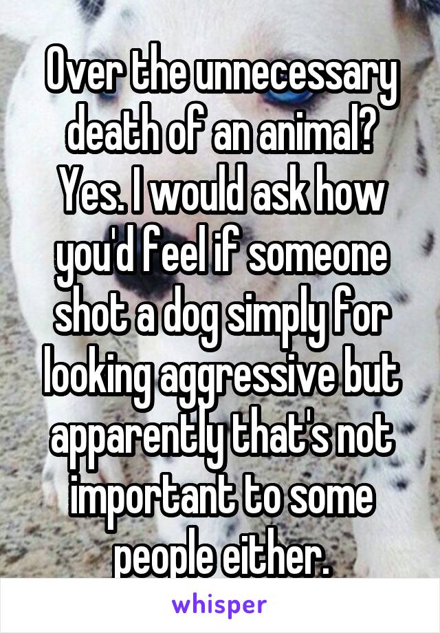 Over the unnecessary death of an animal? Yes. I would ask how you'd feel if someone shot a dog simply for looking aggressive but apparently that's not important to some people either.