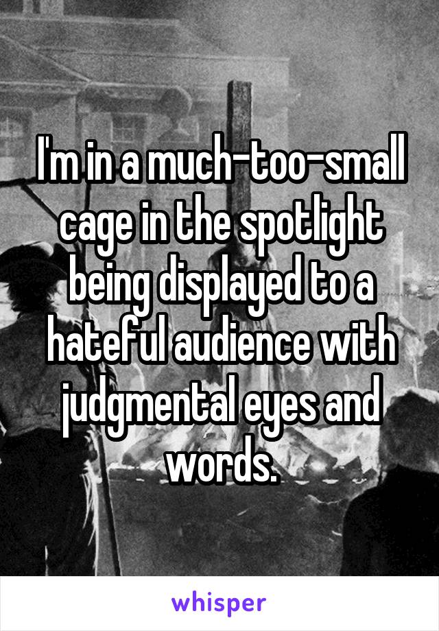 I'm in a much-too-small cage in the spotlight being displayed to a hateful audience with judgmental eyes and words.